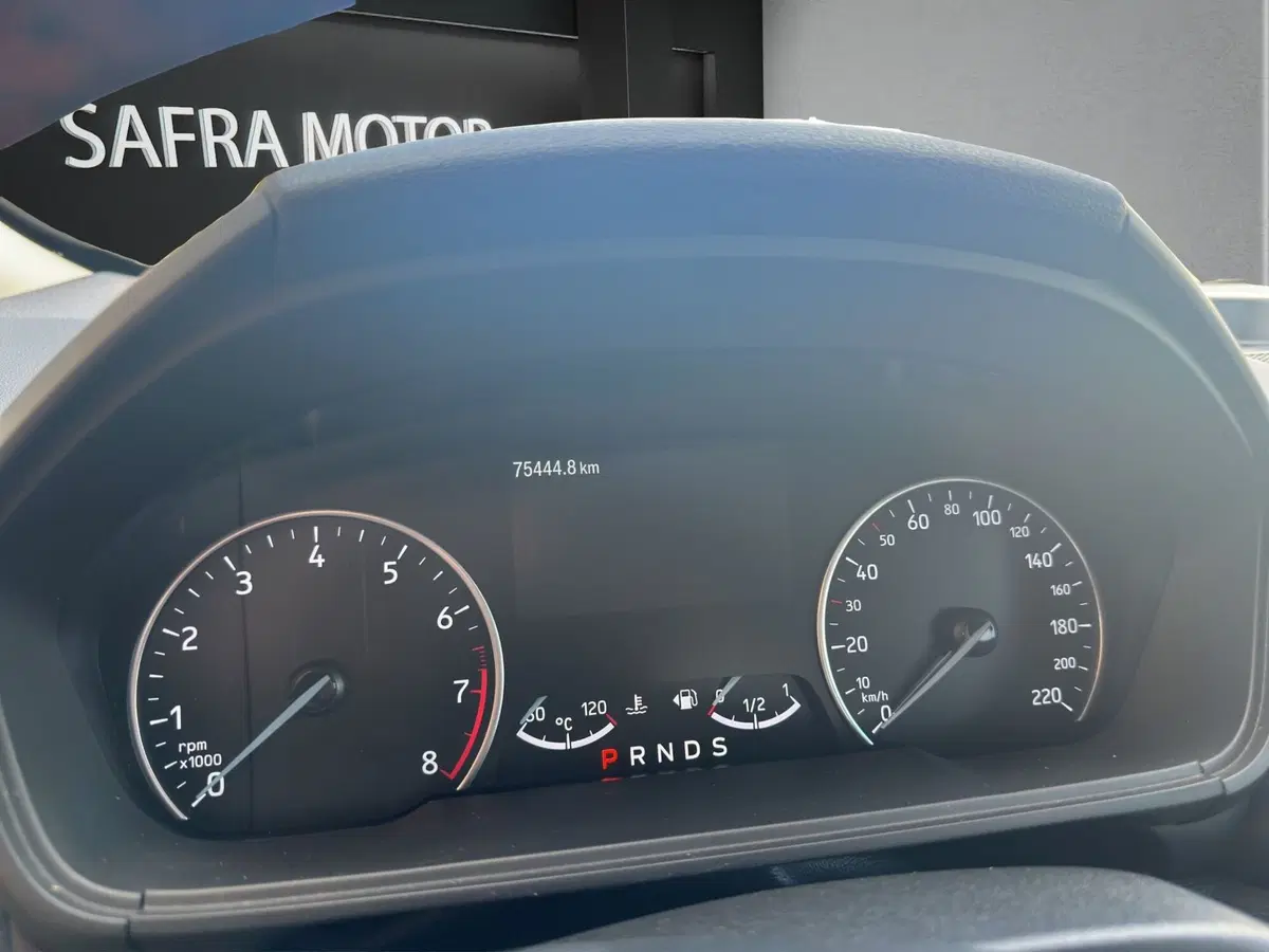Ford EcoSport usata a Cosenza (11)