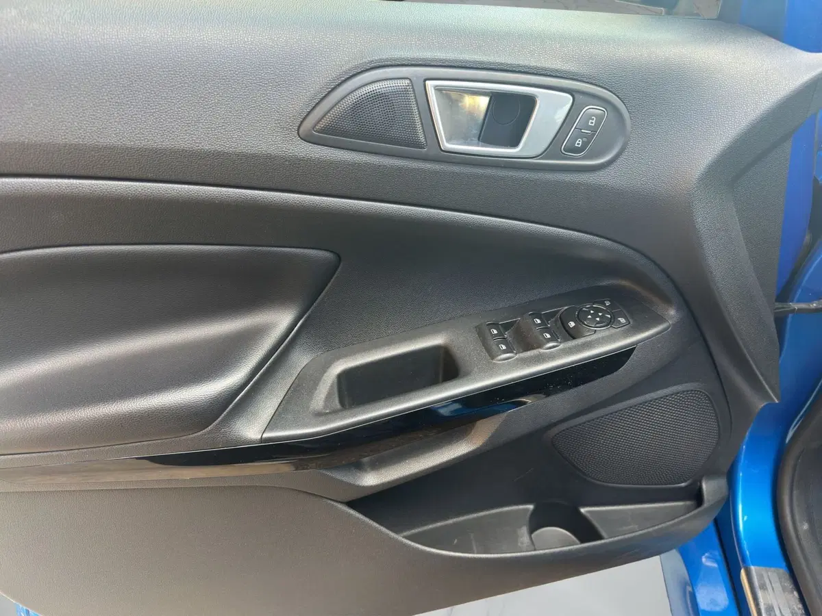 Ford EcoSport usata a Cosenza (12)