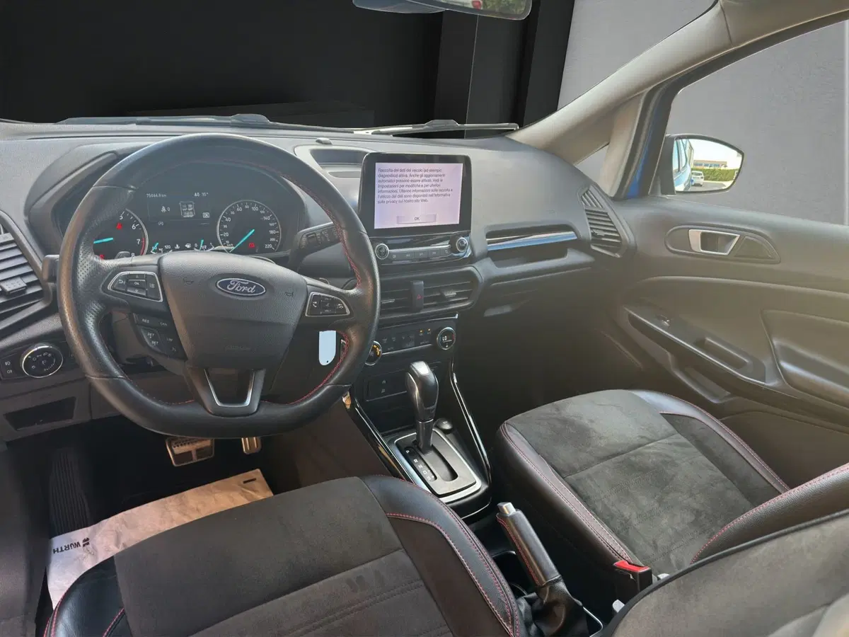 Ford EcoSport usata a Cosenza (14)