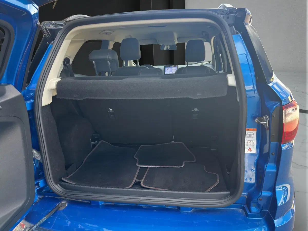 Ford EcoSport usata a Cosenza (20)