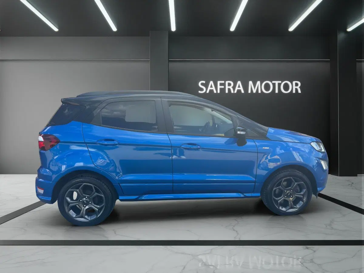 Ford EcoSport usata a Cosenza (8)