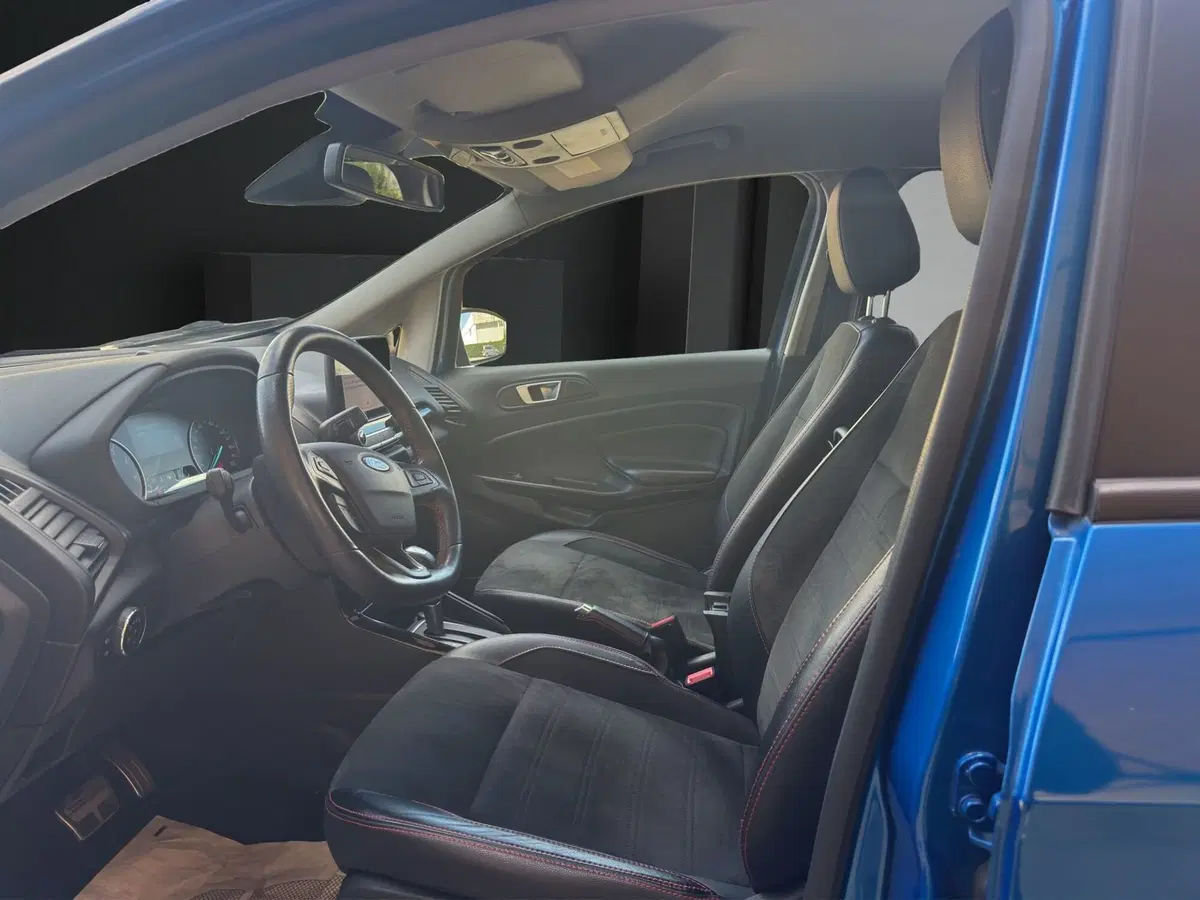 Ford EcoSport usata a Cosenza (9)
