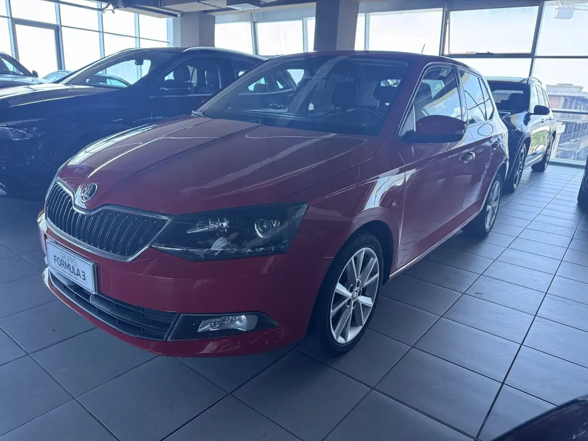 Skoda Fabia usata a Messina