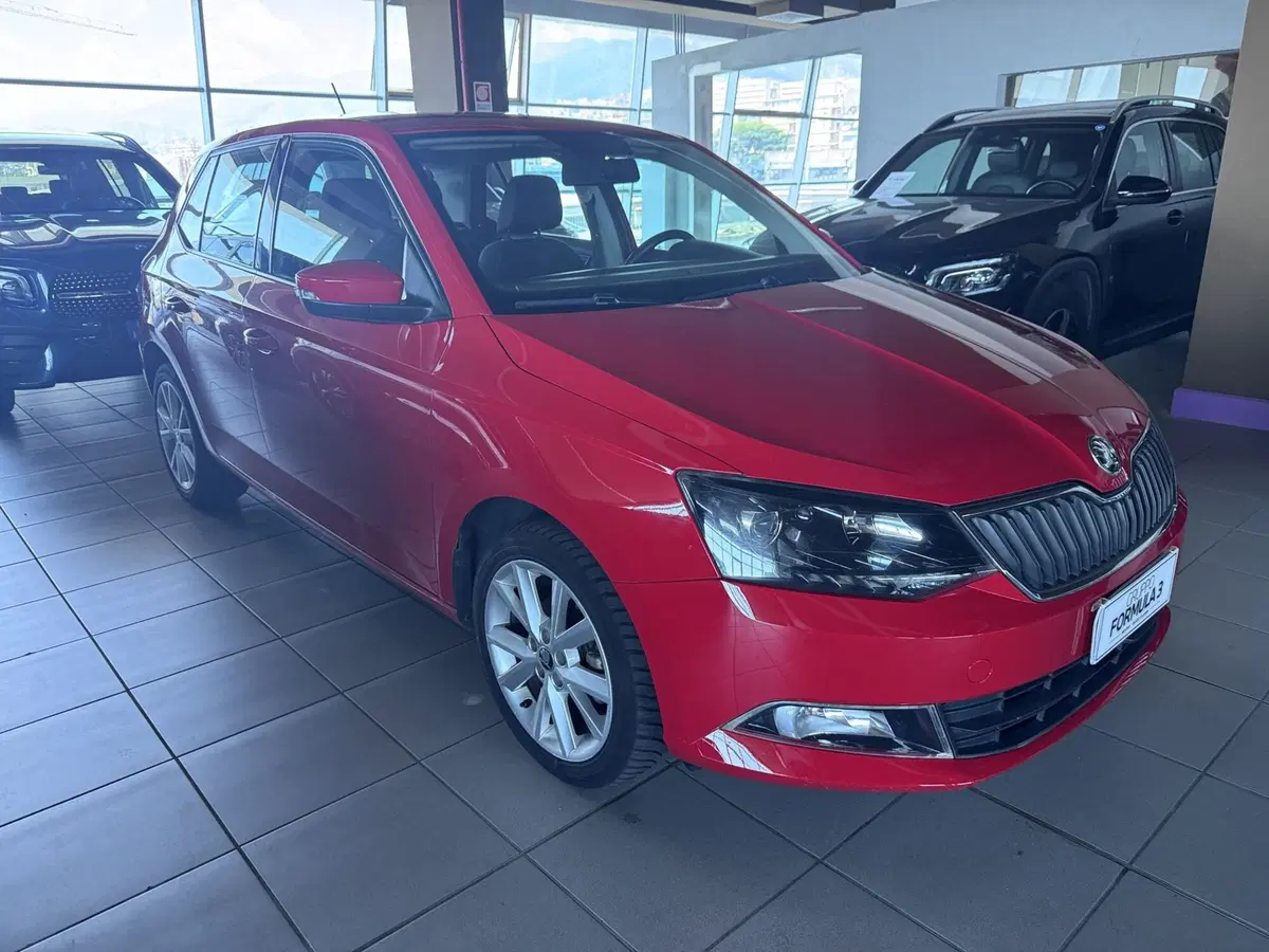 Skoda Fabia usata a Messina (2)