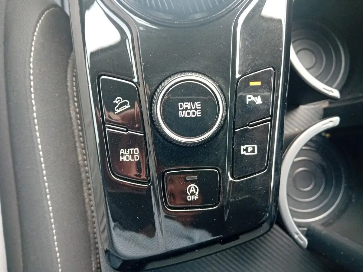 Kia Sportage usata a Pordenone (20)