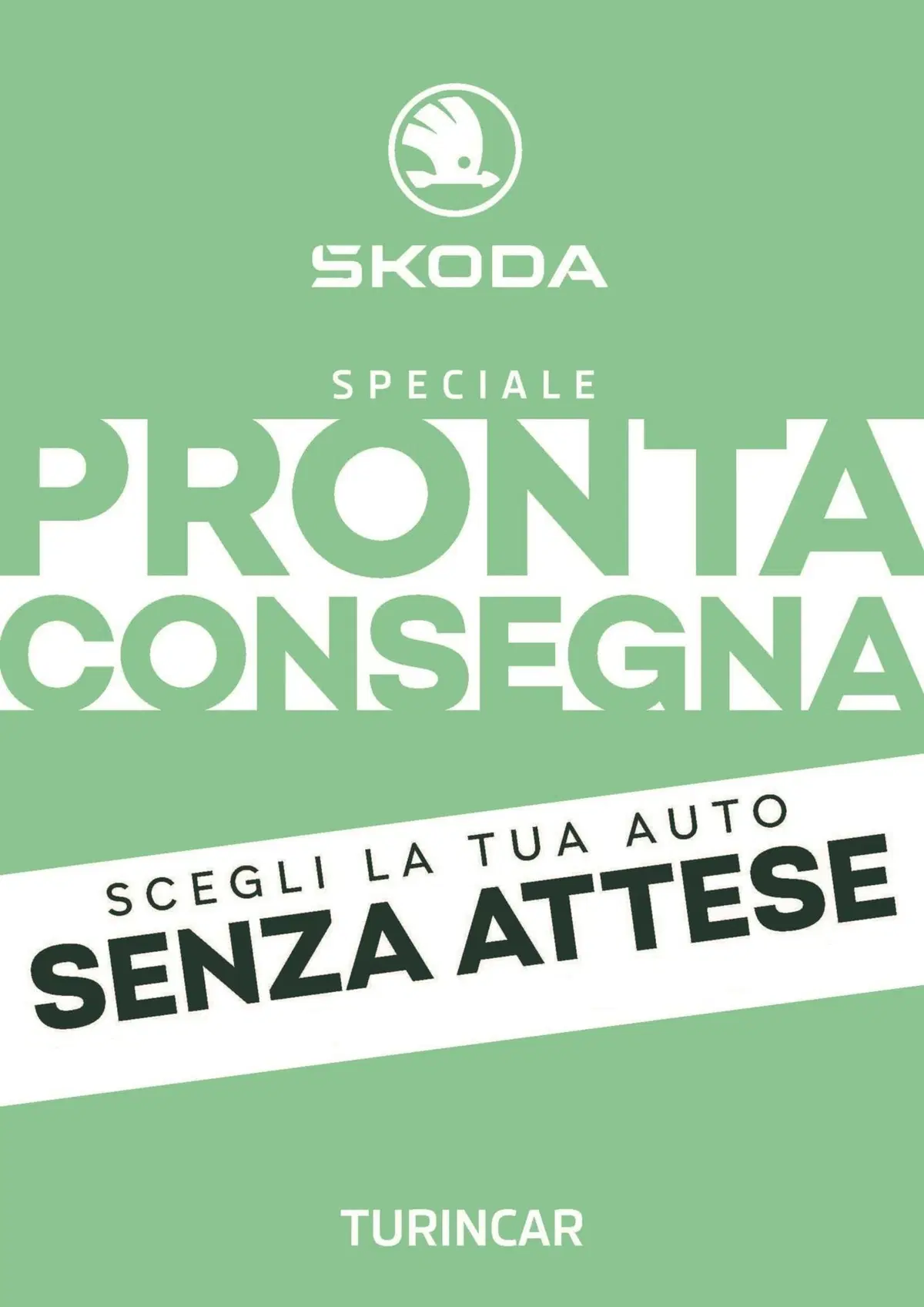 Skoda Kamiq nuova a Torino (19)