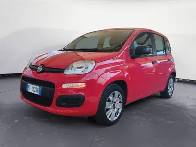 Fiat Panda 1.2 Easy del 2016 usata a Empoli