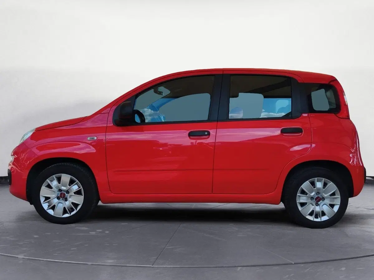 Fiat Panda usata a Firenze (3)