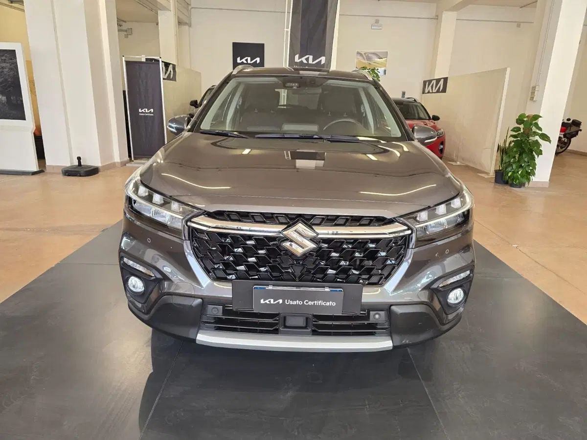 Suzuki S-Cross usata a Rimini (2)