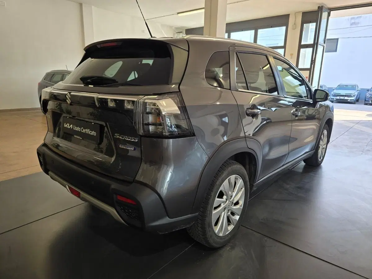 Suzuki S-Cross usata a Rimini (6)