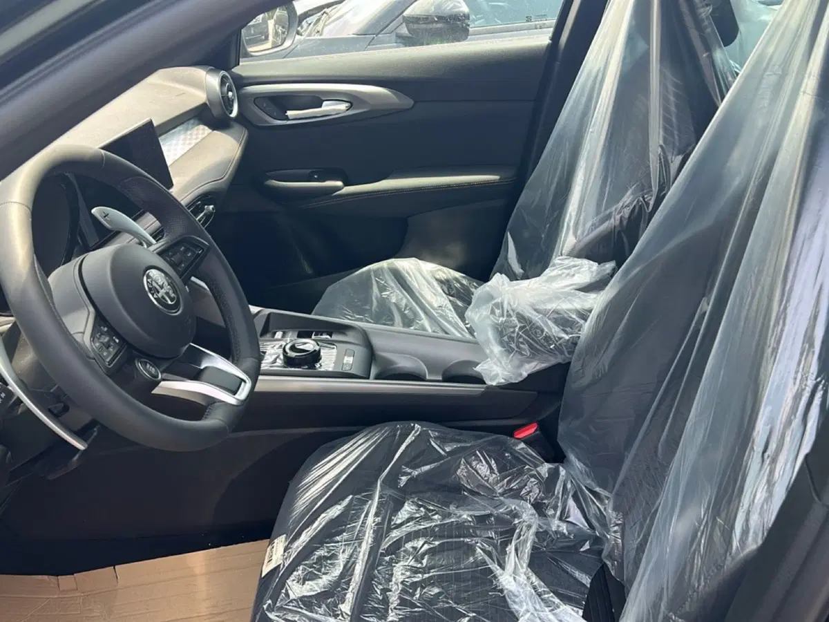 Alfa Romeo Tonale nuova a Frosinone (8)