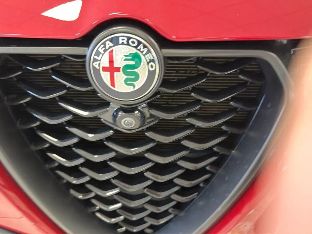 Alfa Romeo Tonale usata a Palermo (11)