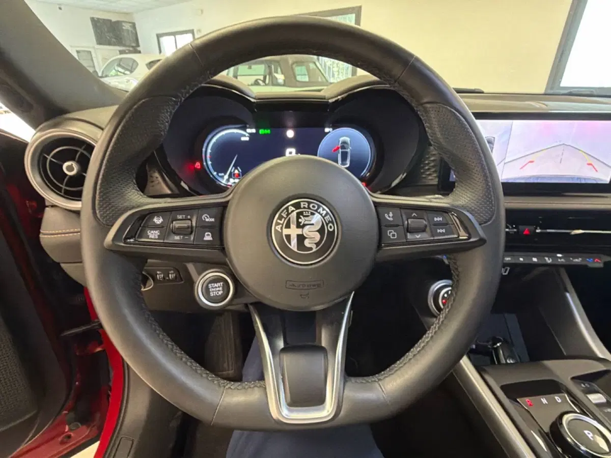 Alfa Romeo Tonale usata a Palermo (19)