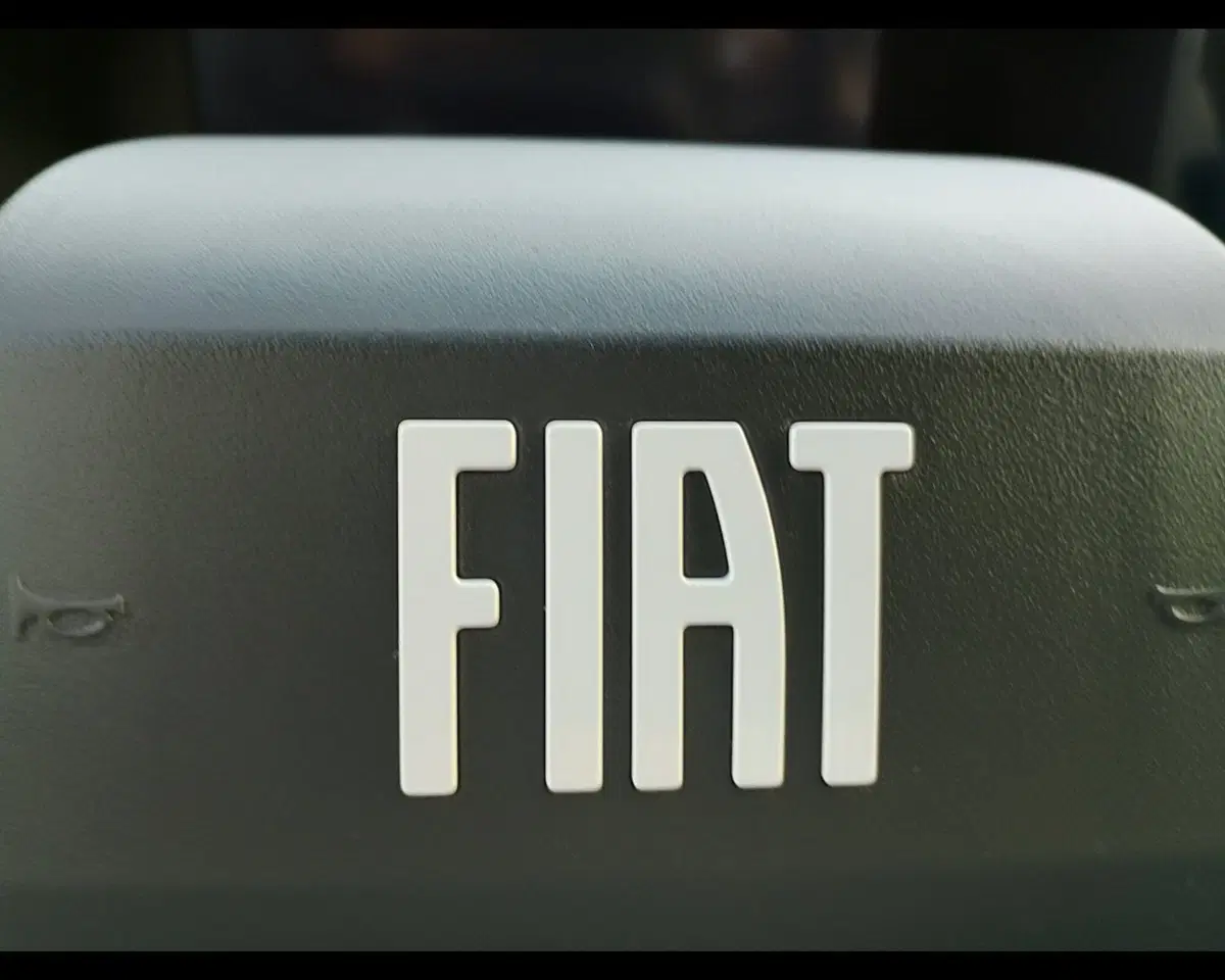 Fiat Grande Panda usata a Ravenna (16)