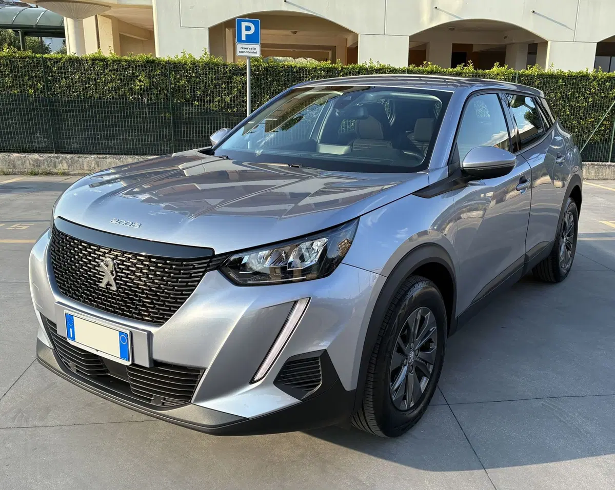 Peugeot 2008 usata a Frosinone (2)
