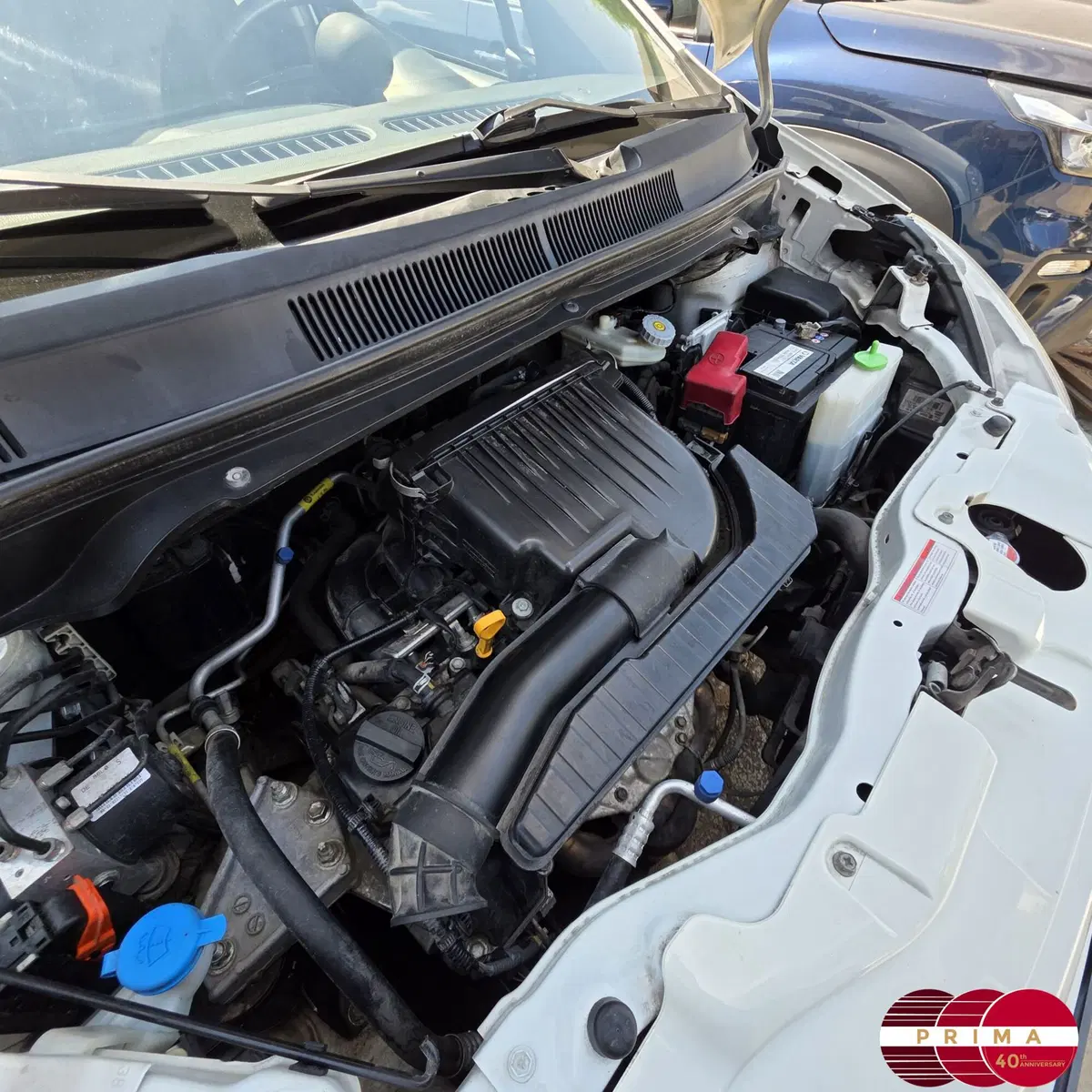 Suzuki Splash usata a Catania (10)