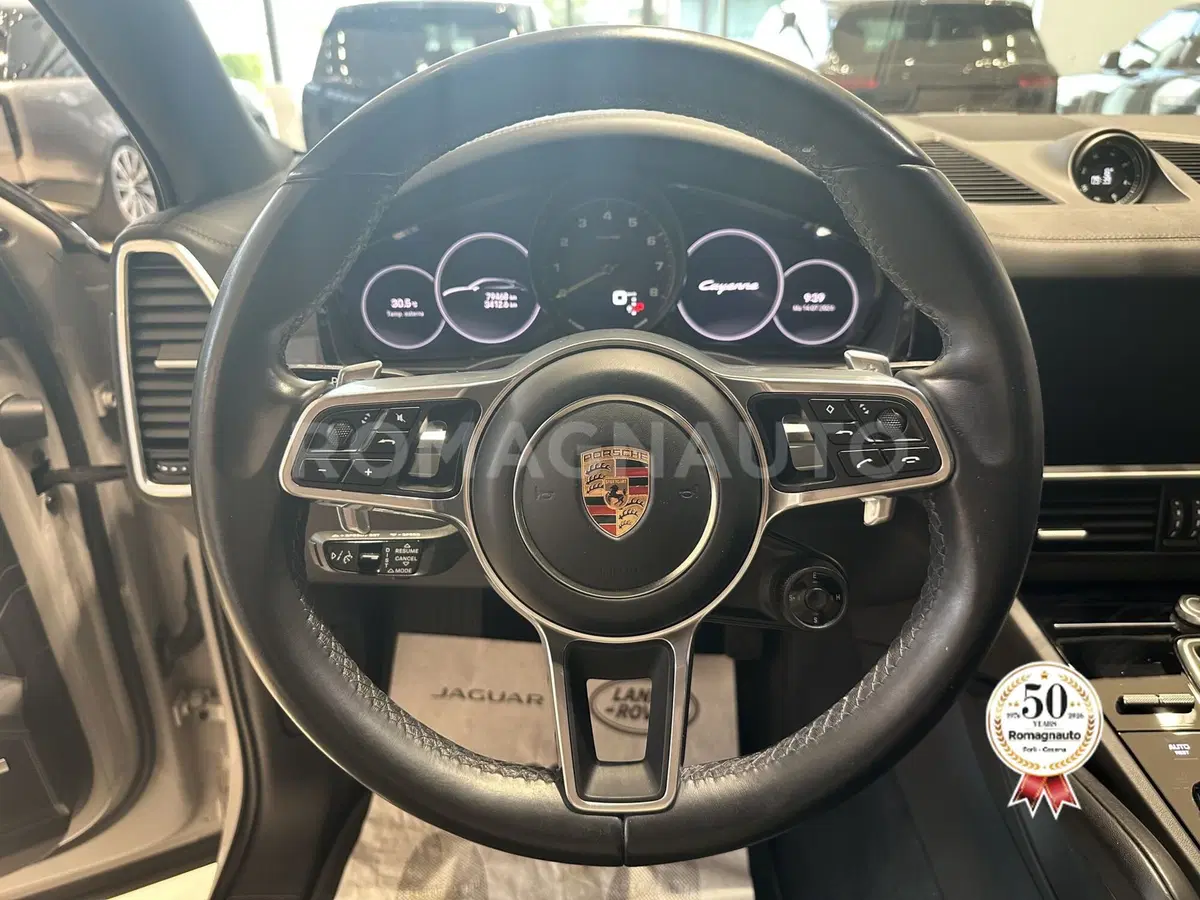 Porsche Cayenne usata a Forlì-Cesena (16)