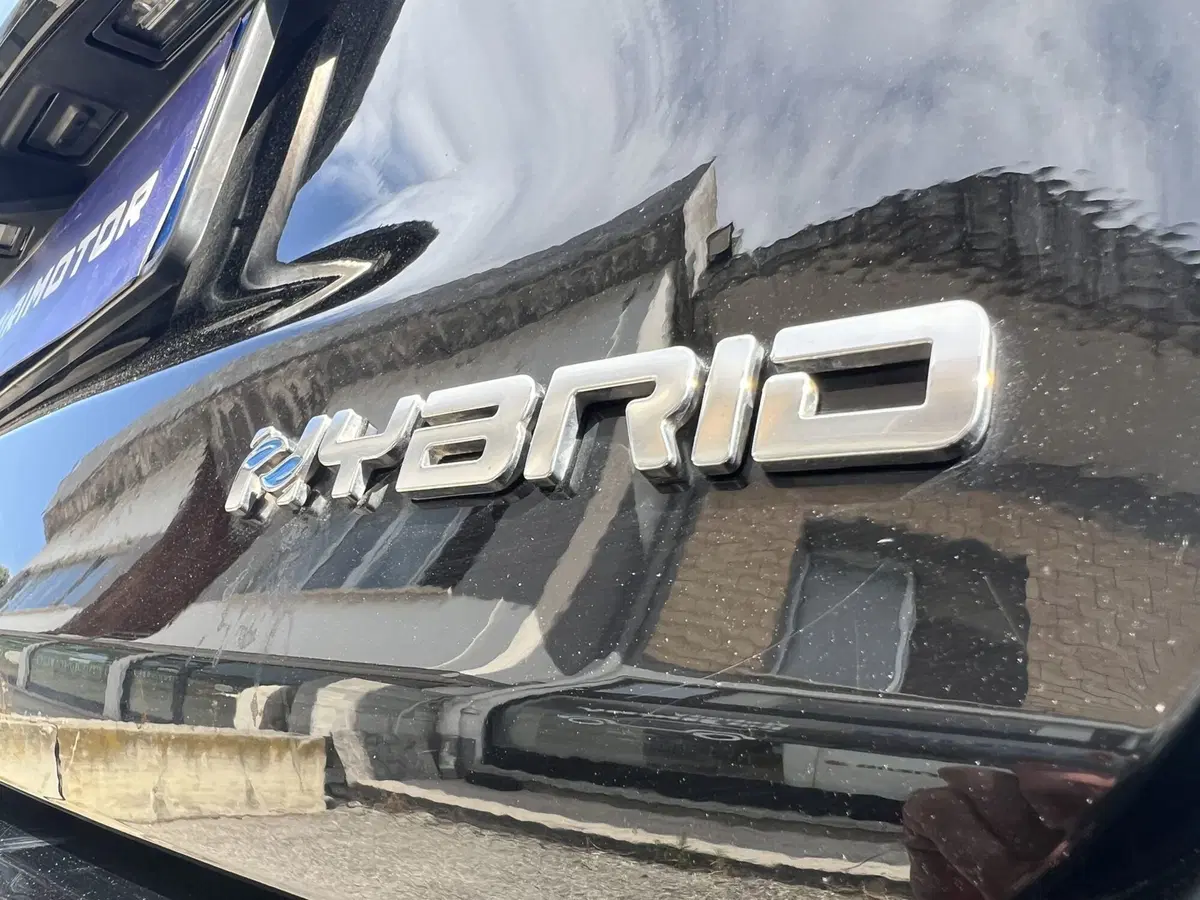 Fiat 600 usata a Teramo (5)