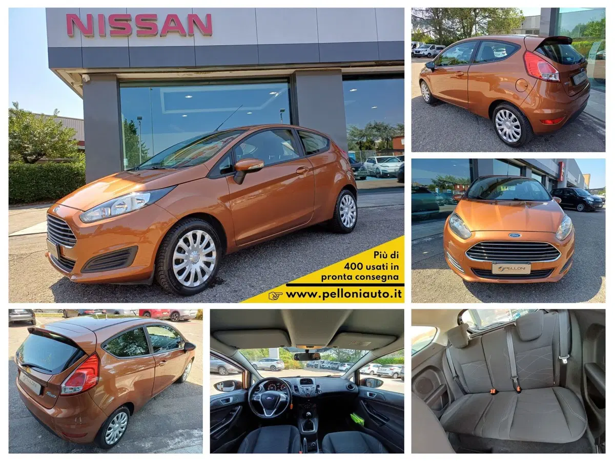 Ford Fiesta usata a Modena