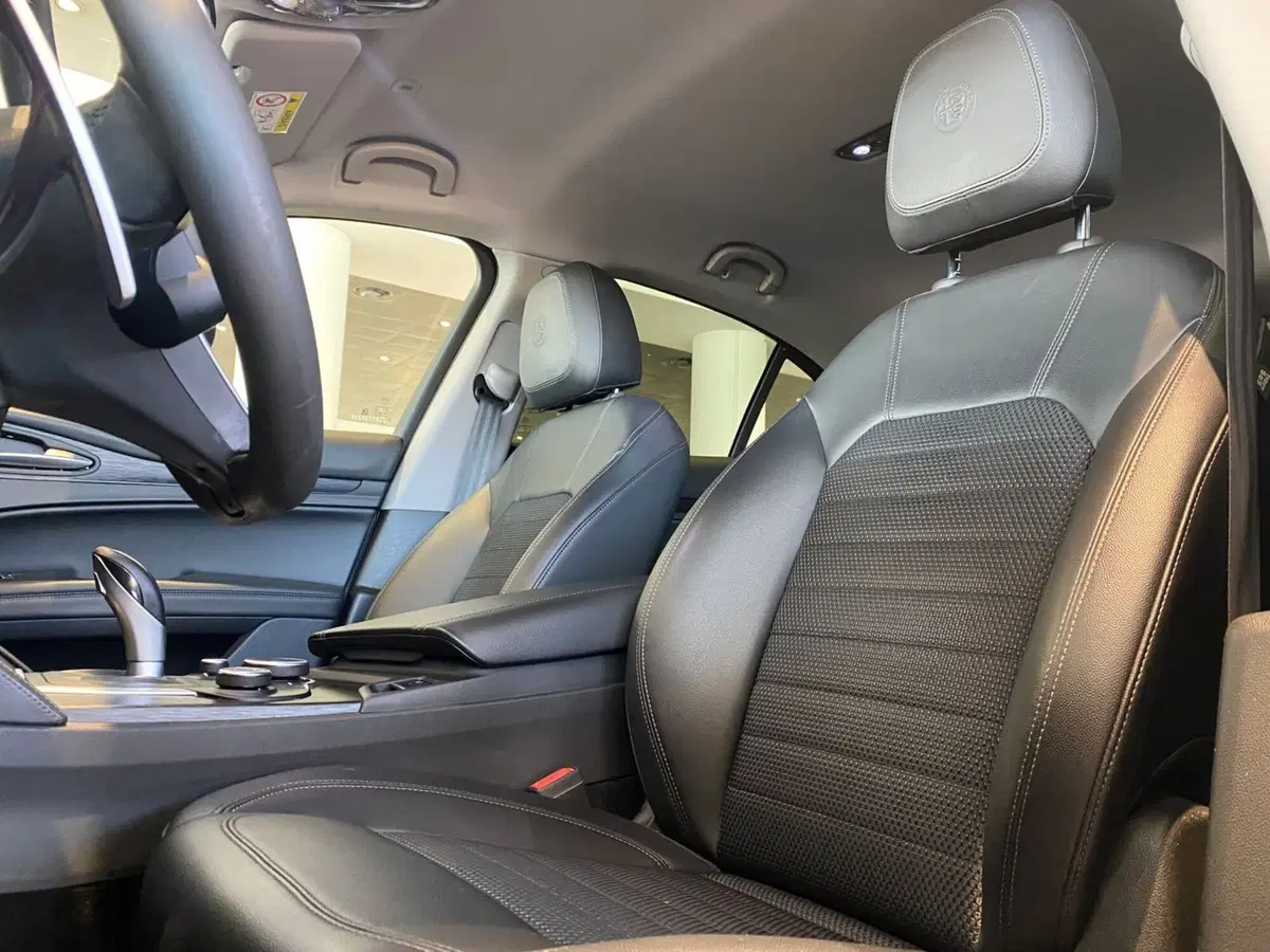 Alfa Romeo Stelvio usata a Firenze (12)