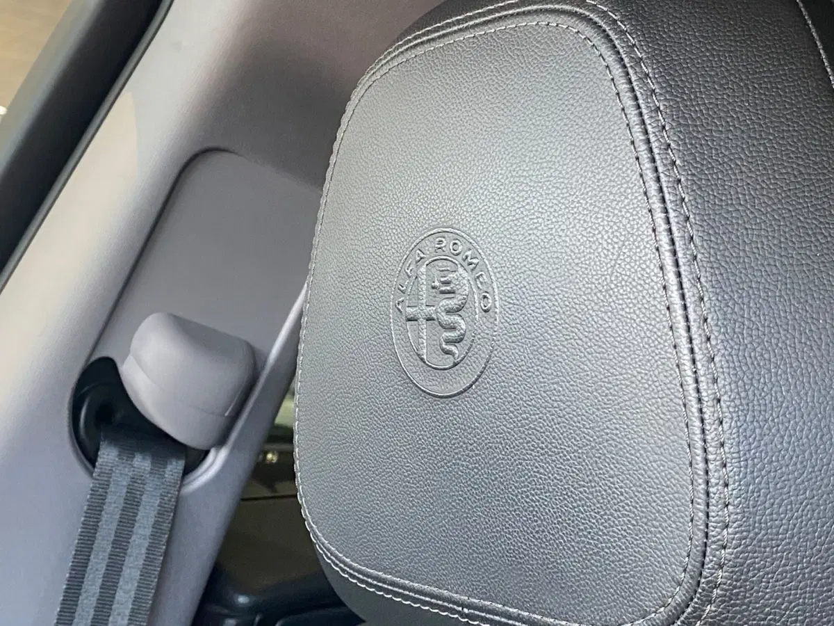 Alfa Romeo Stelvio usata a Firenze (18)