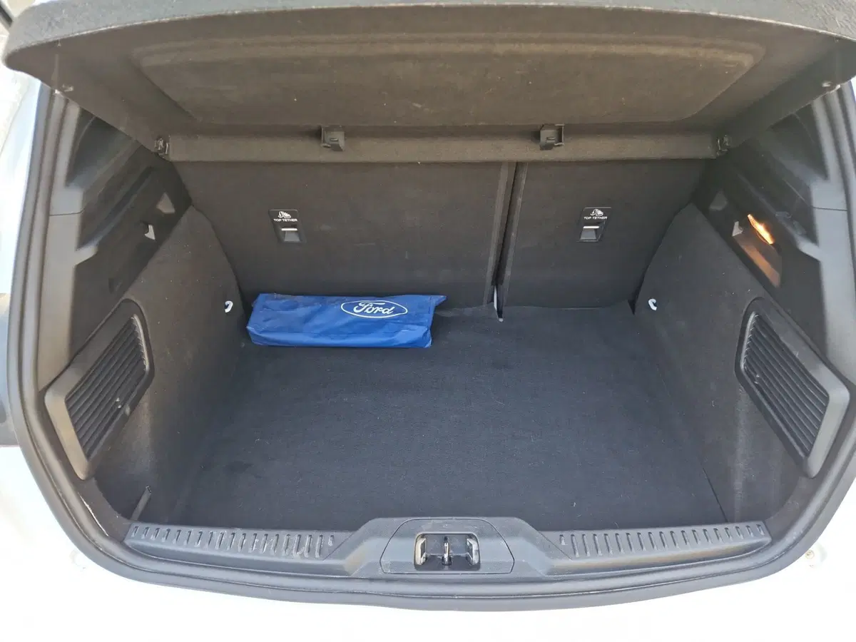 Ford Focus usata a Siena (13)