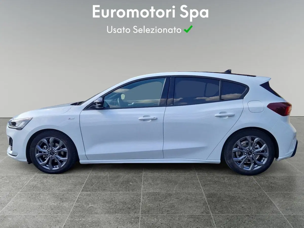 Ford Focus usata a Siena (2)