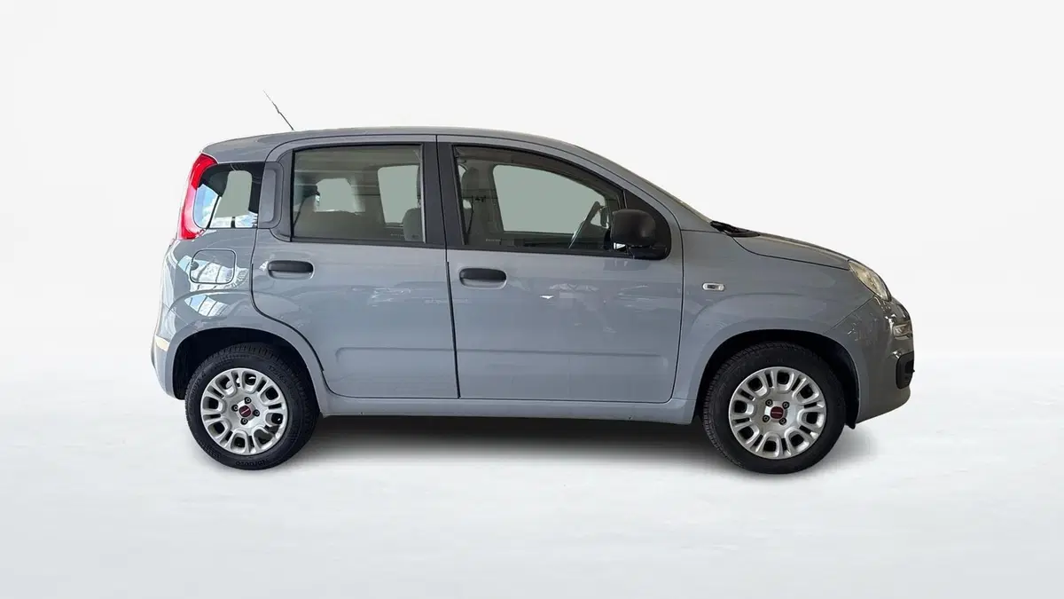 Fiat Panda usata a Padova (2)