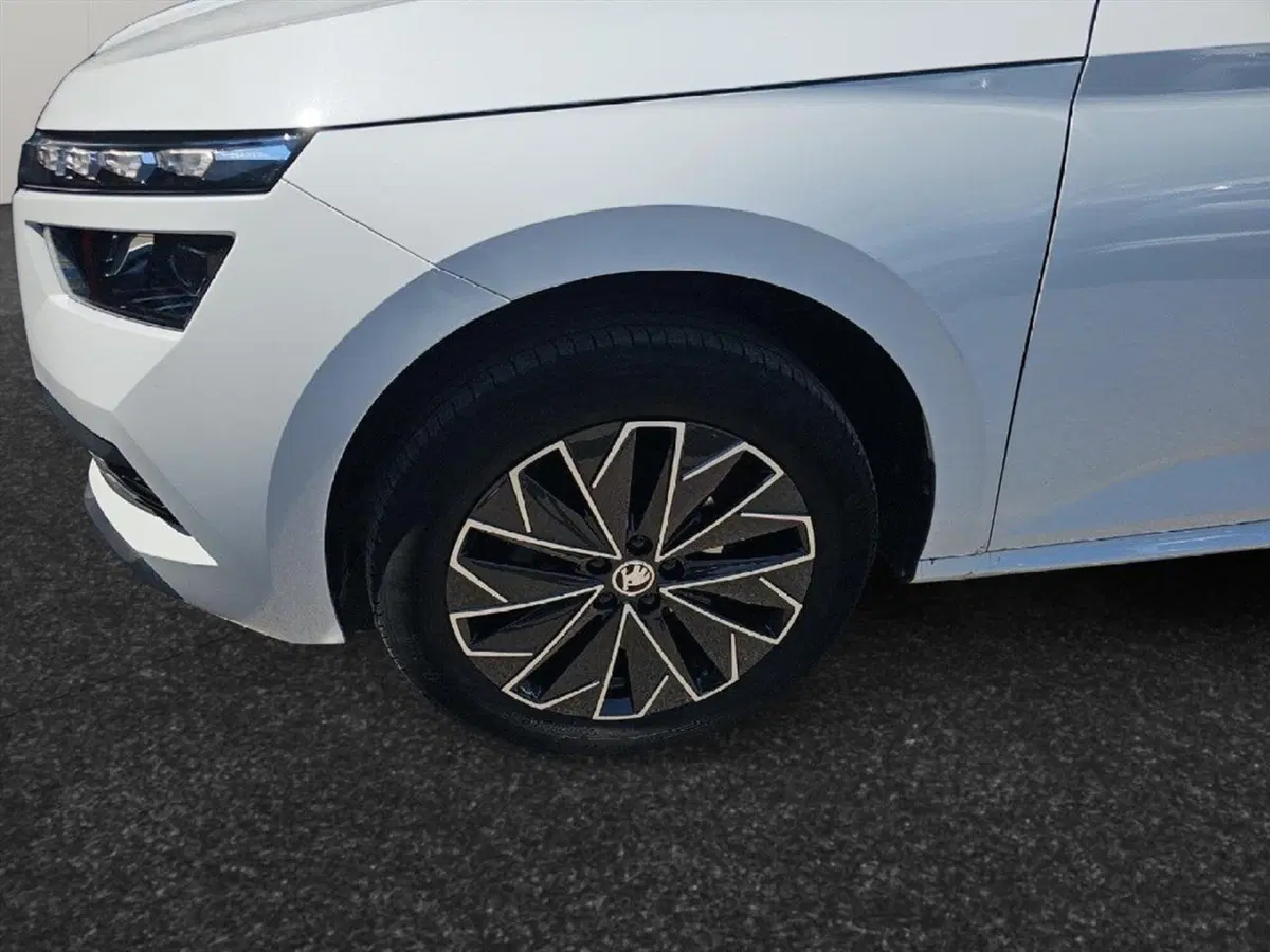 Skoda Kamiq usata a Lecco (18)