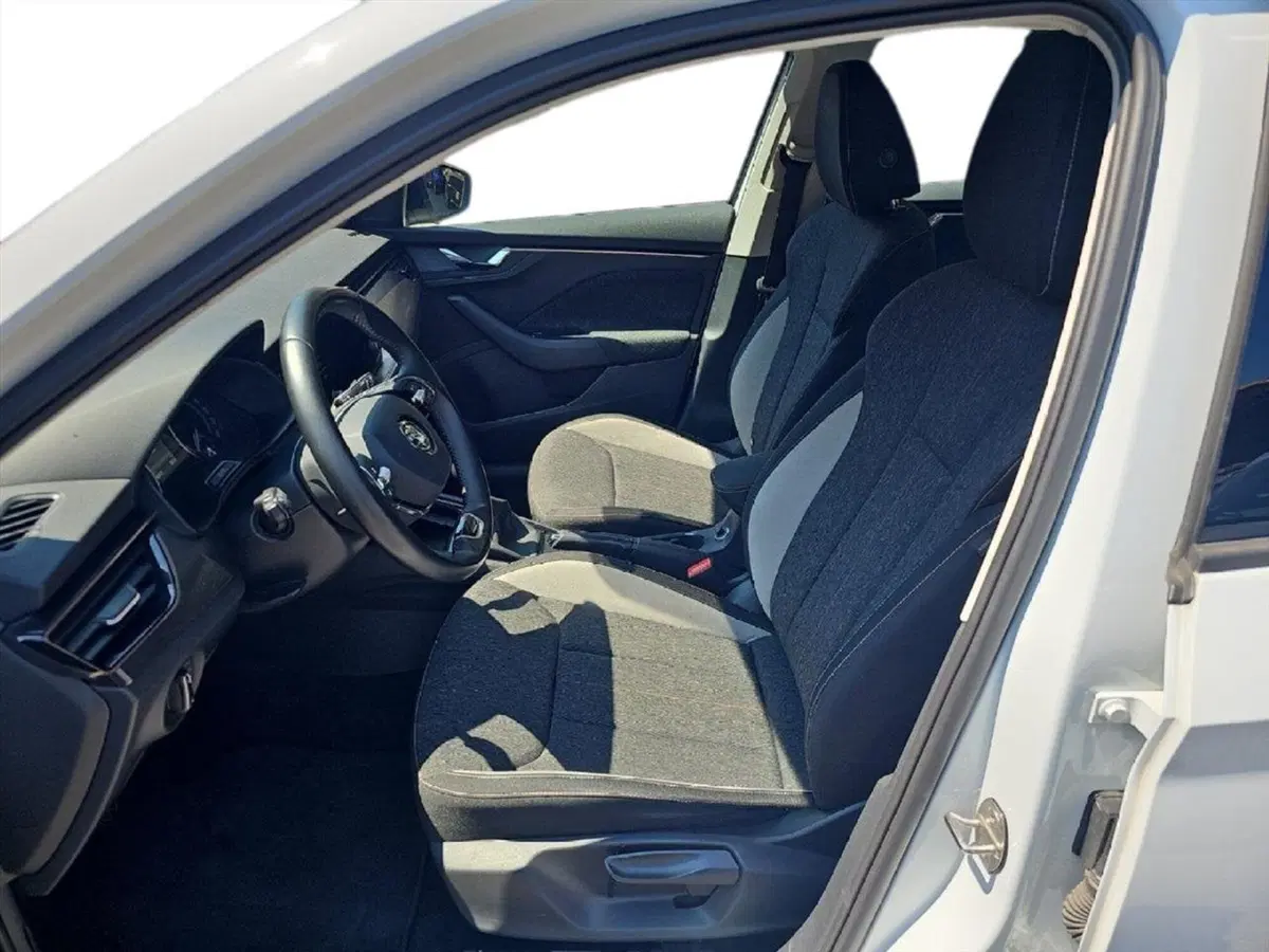 Skoda Kamiq usata a Lecco (9)