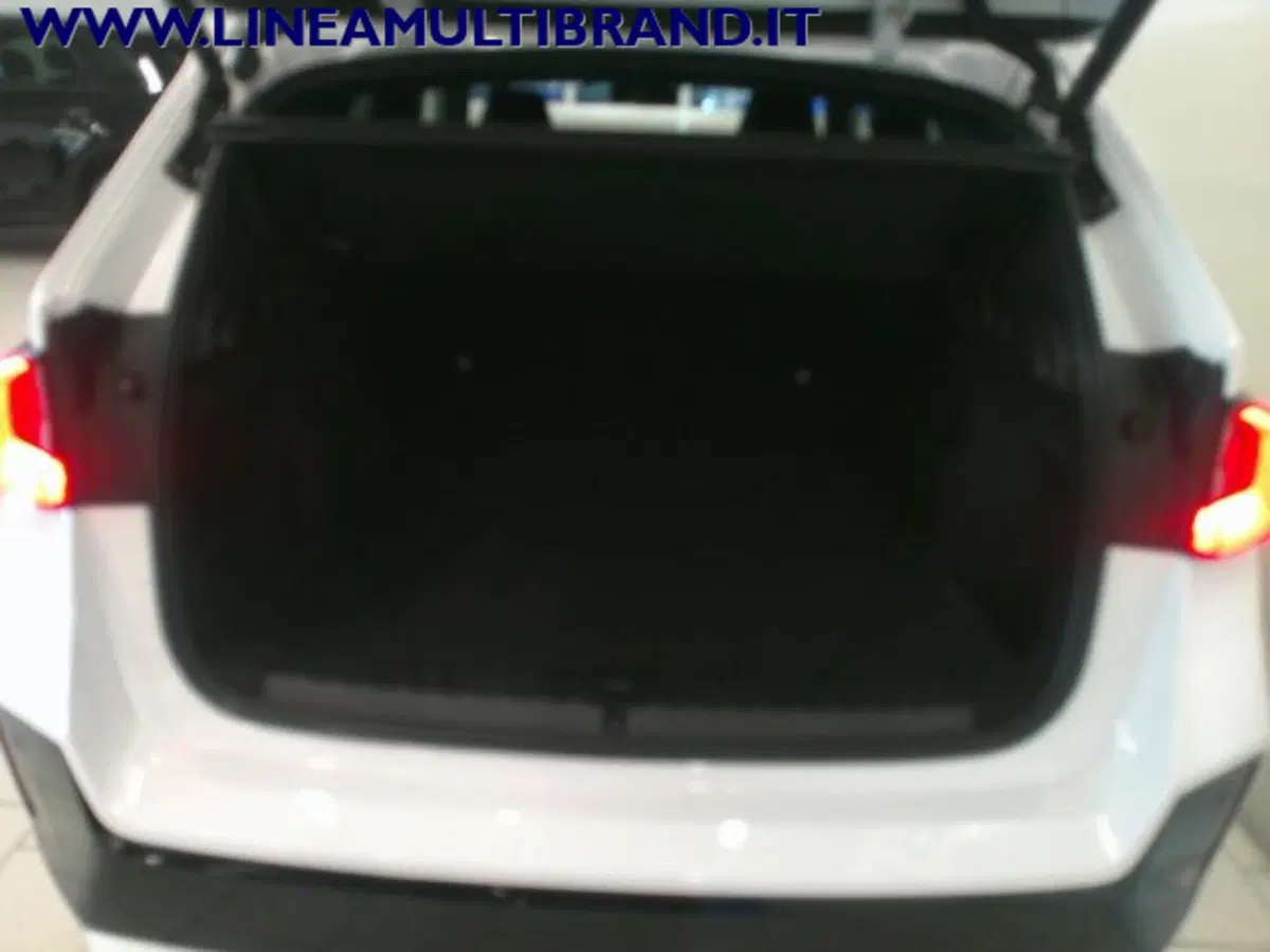 BMW X1 usata a Piacenza (10)