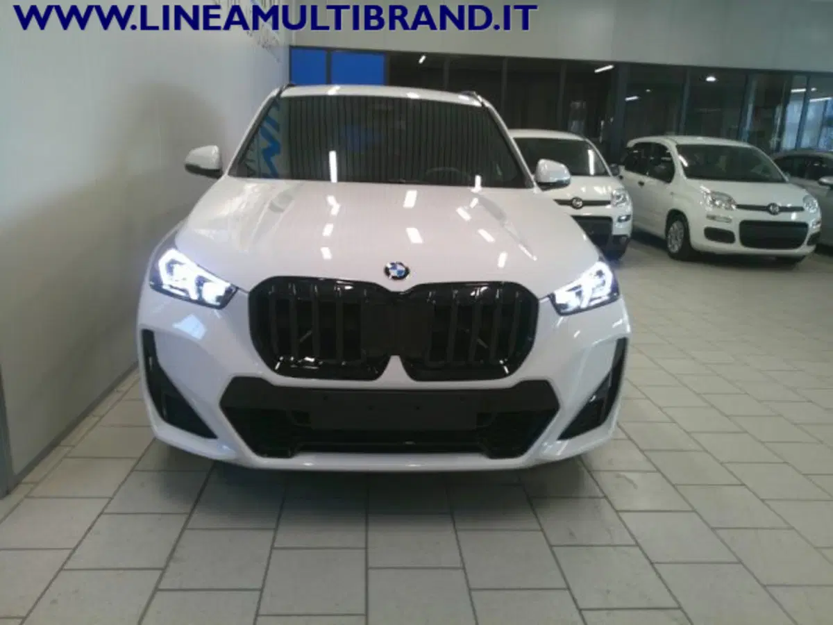 BMW X1 usata a Piacenza (3)