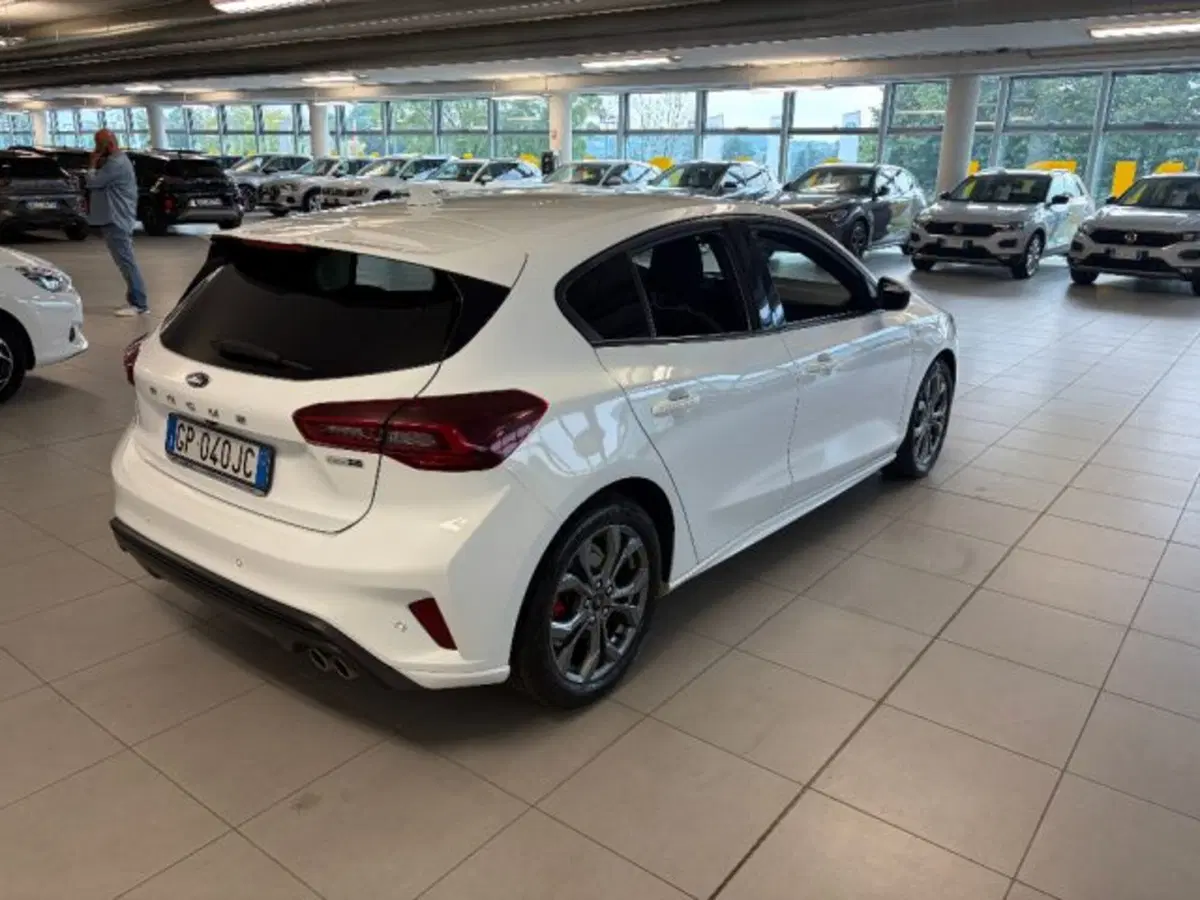 Ford Focus usata a Cuneo (4)