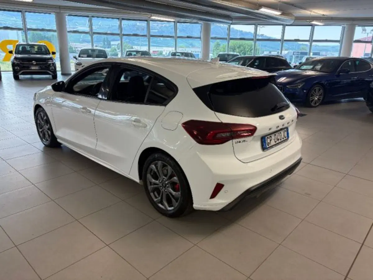 Ford Focus usata a Cuneo (5)