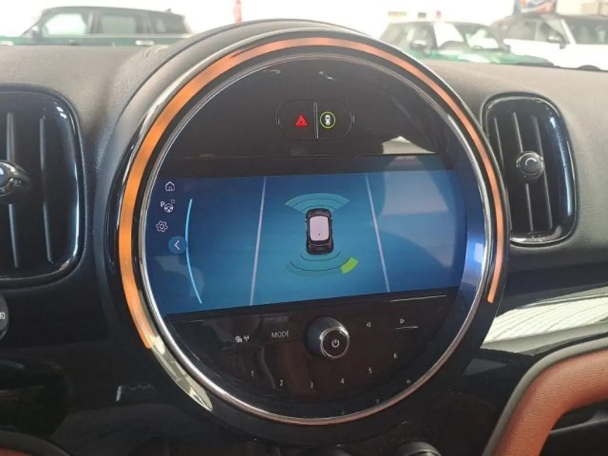MINI Mini Countryman usata a Verona (12)