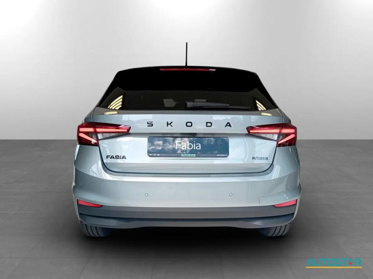 Skoda Fabia nuova a Piacenza (5)
