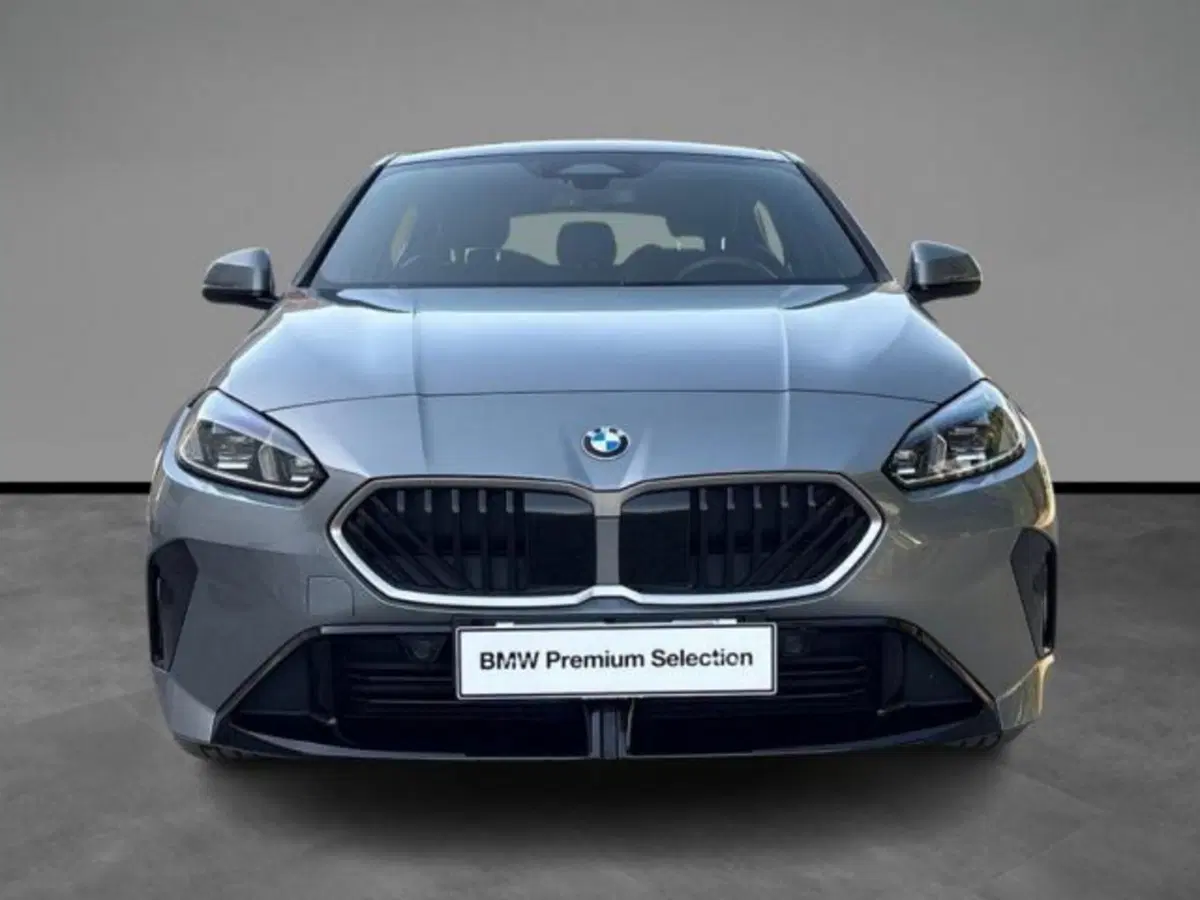 BMW Serie 1 usata a Lecce (7)