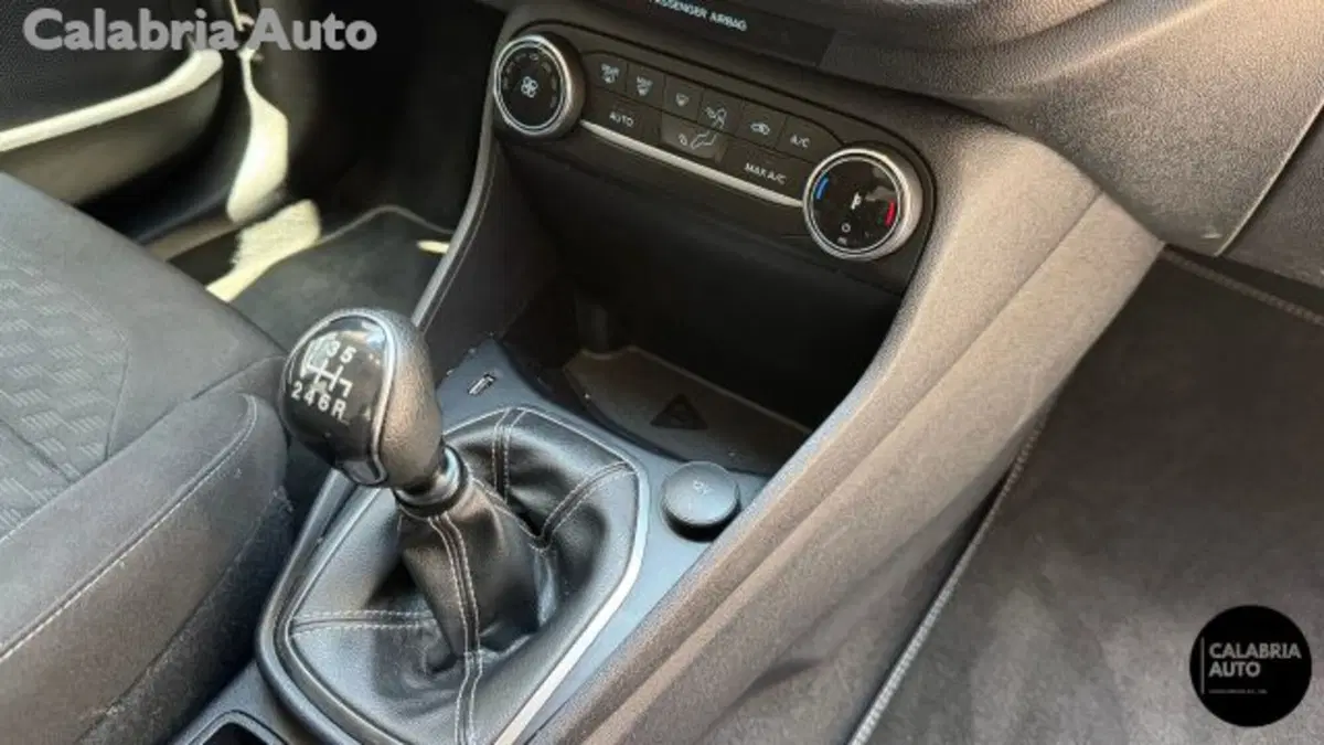 Ford Fiesta usata a Reggio Calabria (17)