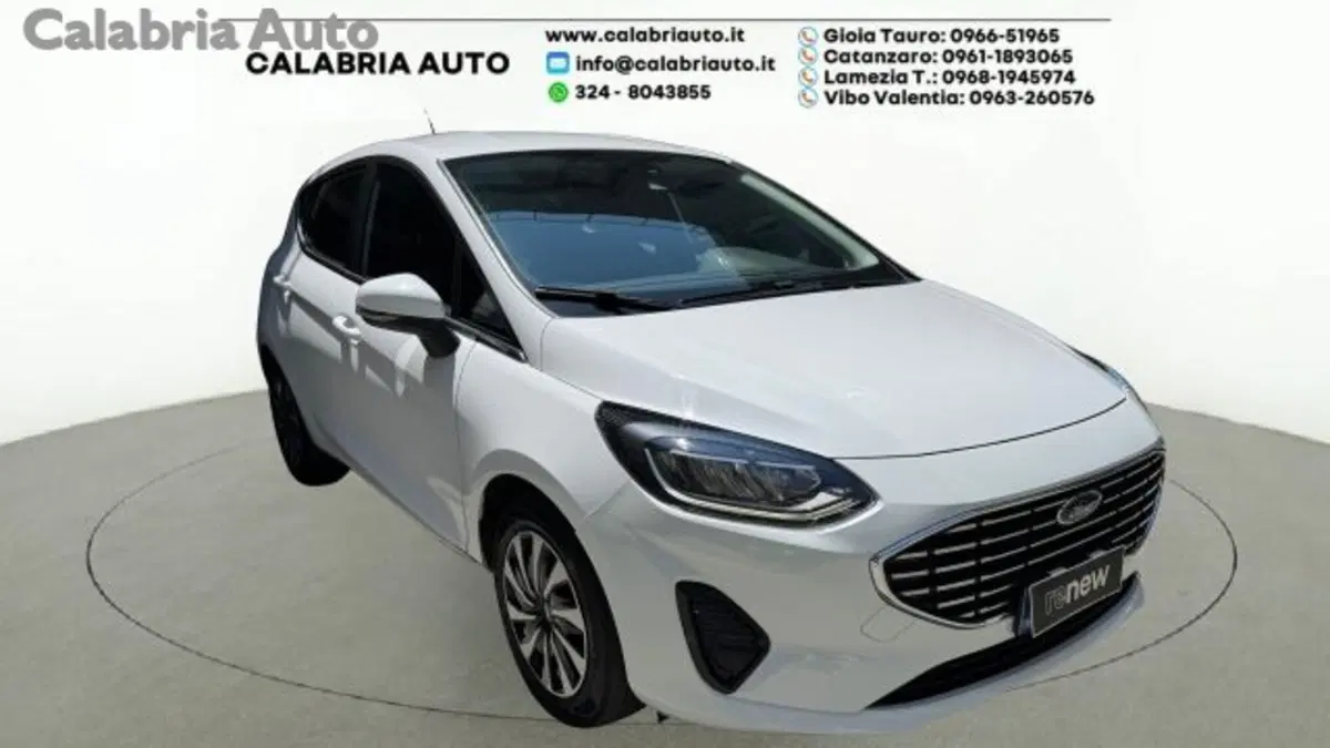 Ford Fiesta usata a Reggio Calabria (2)
