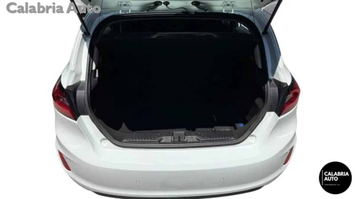 Ford Fiesta usata a Reggio Calabria (5)