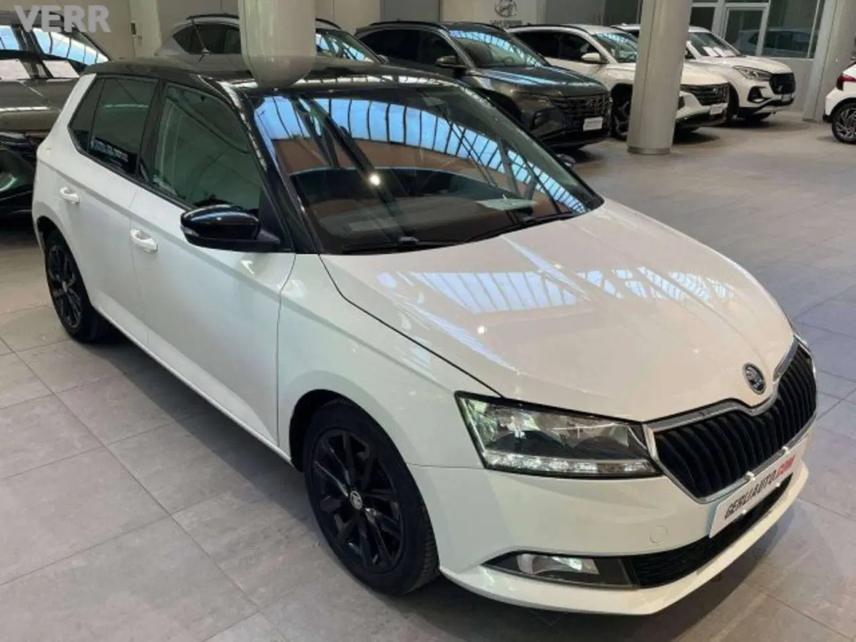 Skoda Fabia usata a Milano (2)