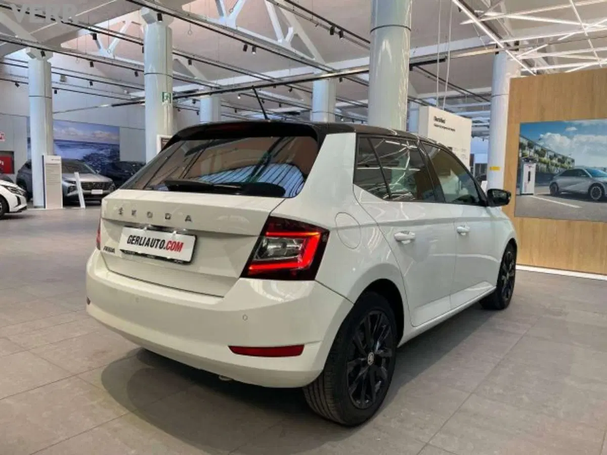 Skoda Fabia usata a Milano (3)