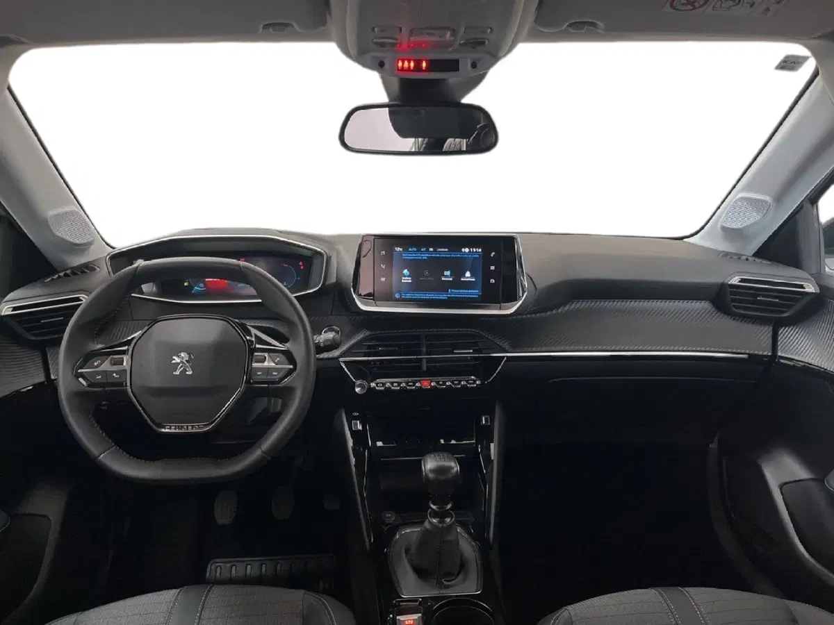 Peugeot 208 usata a Torino (11)