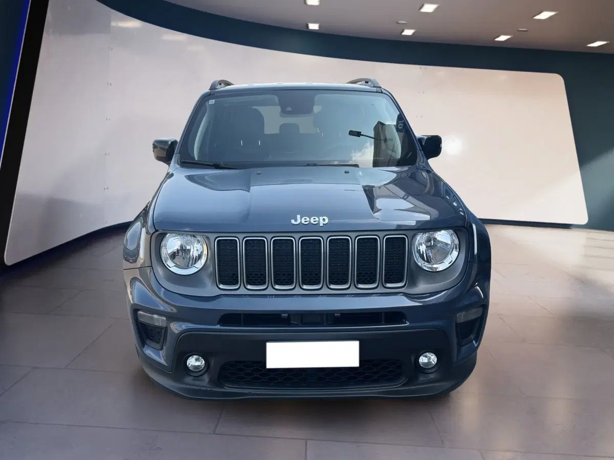 Jeep Renegade usata a Torino