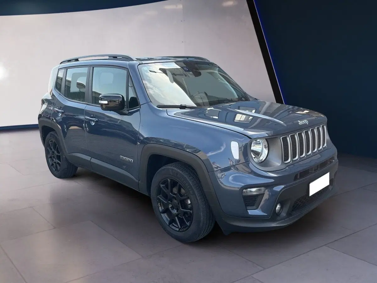 Jeep Renegade usata a Torino (3)