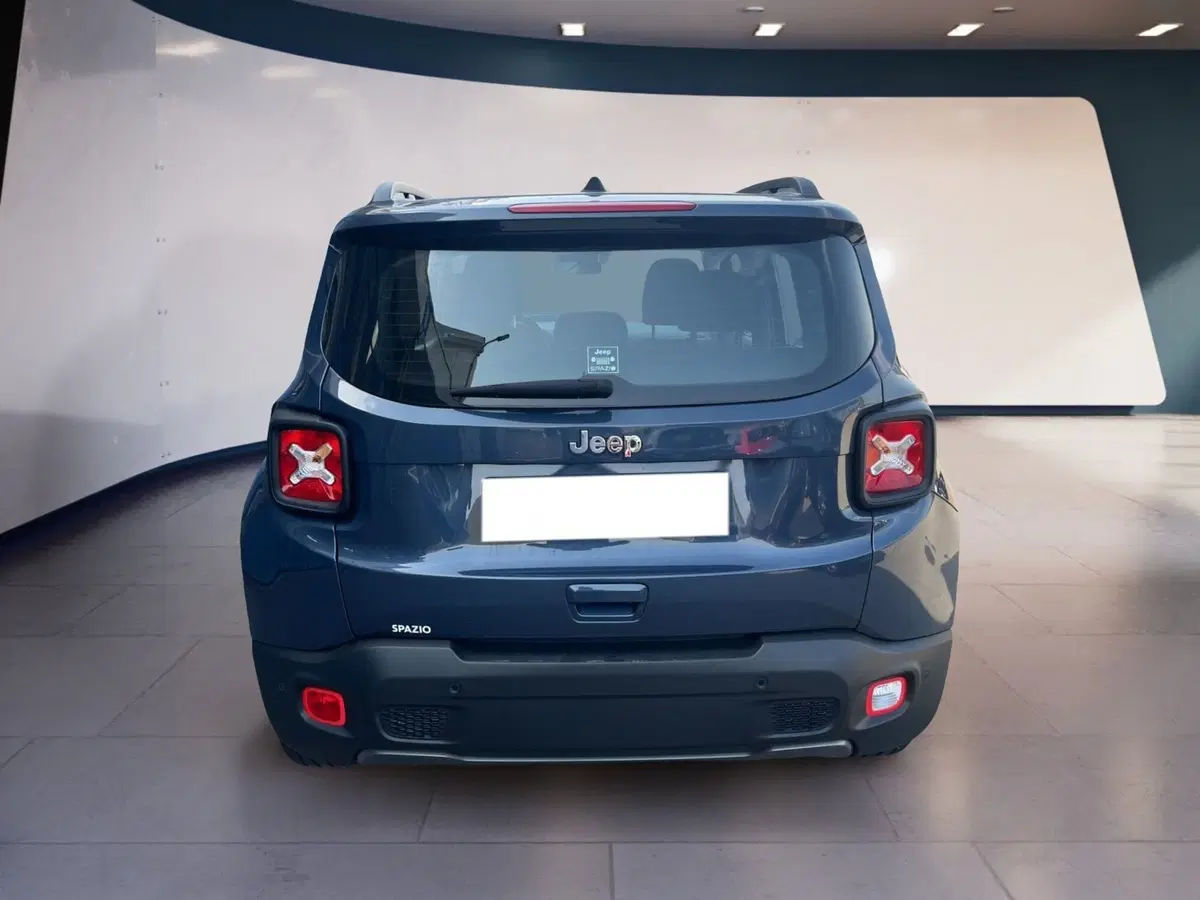 Jeep Renegade usata a Torino (5)