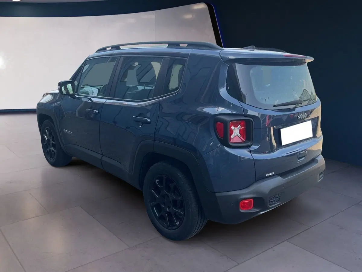 Jeep Renegade usata a Torino (6)