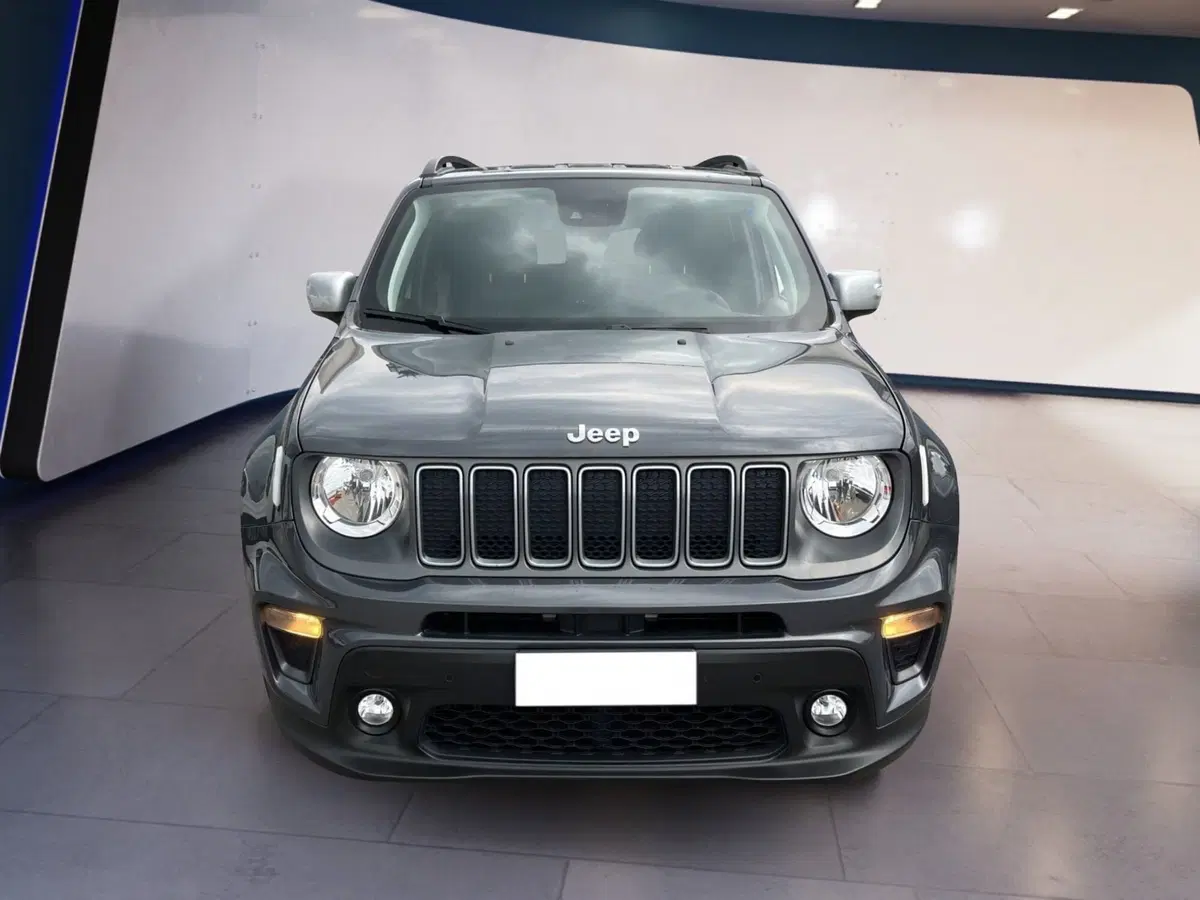 Jeep Renegade usata a Torino