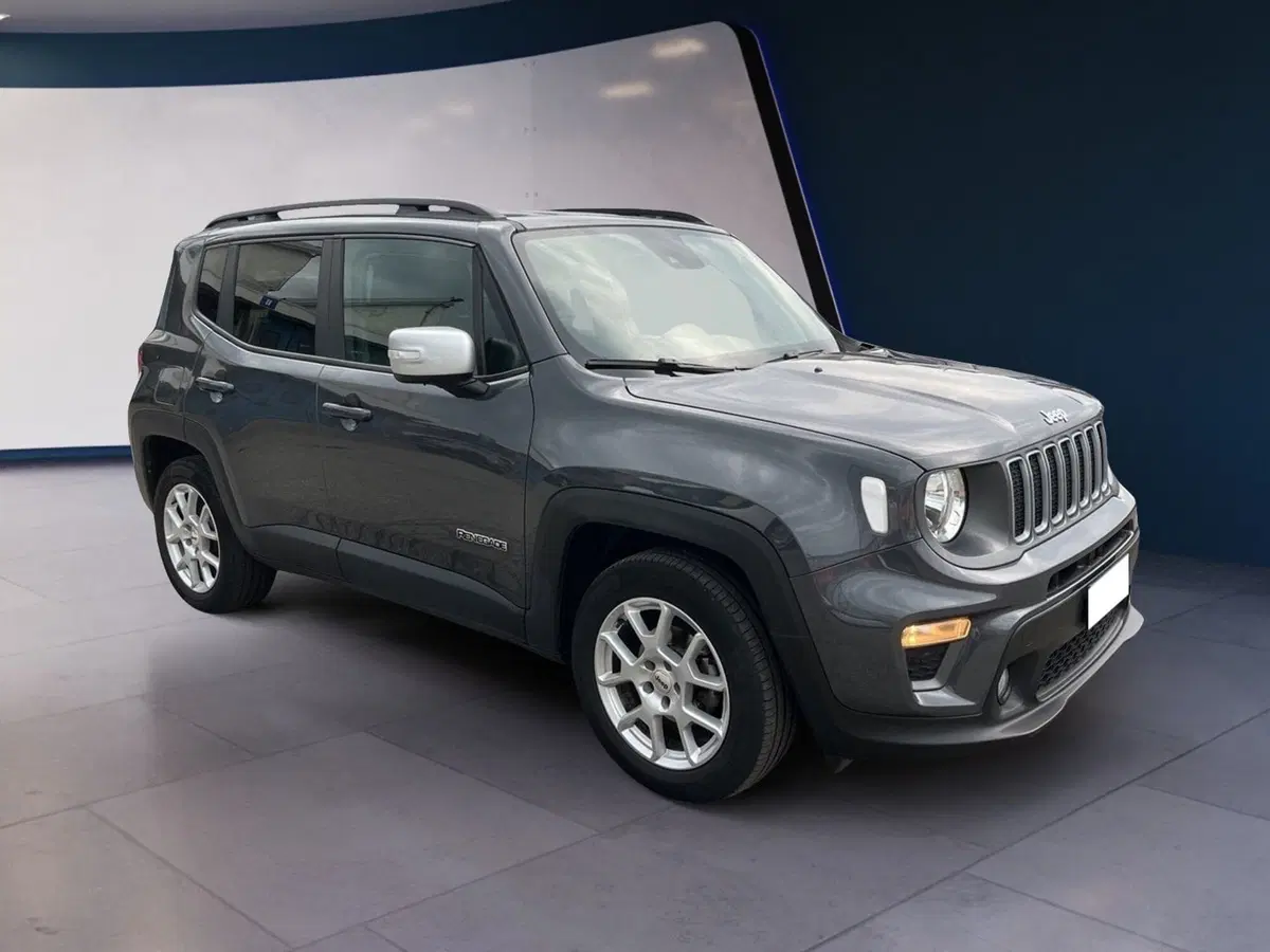 Jeep Renegade usata a Torino (3)
