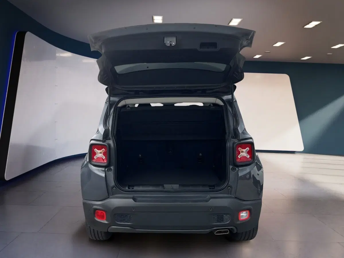 Jeep Renegade usata a Torino (7)
